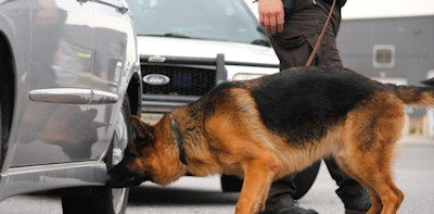 K-9 Unit